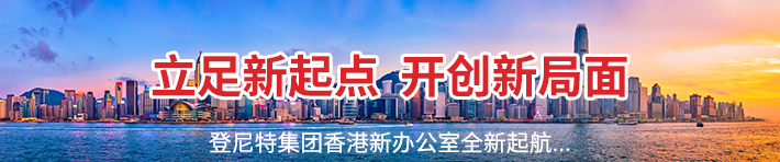 盡職調查報告